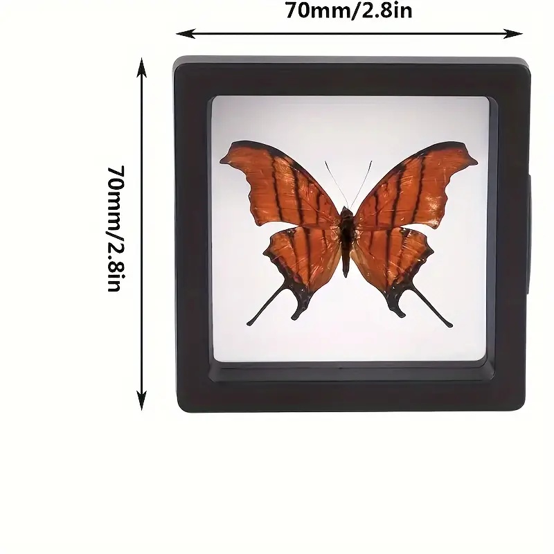 20 szt. Przezroczyste etui eks – Display Case Acrylic recenzja i cena